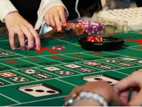 AG飞禽走兽多人版2024最新版